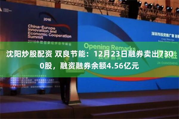 沈阳炒股配资 双良节能：12月23日融券卖出7300股，融资融券余额4.56亿元