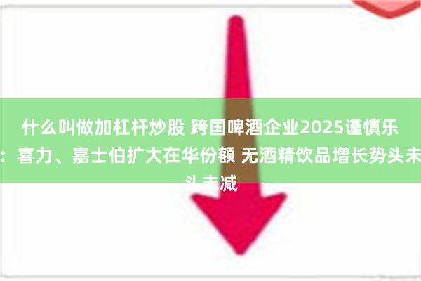 什么叫做加杠杆炒股 跨国啤酒企业2025谨慎乐观：喜力、嘉士伯扩大在华份额 无酒精饮品增长势头未减