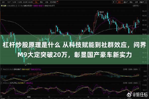 杠杆炒股原理是什么 从科技赋能到社群效应，问界M9大定突破20万，彰显国产豪车新实力